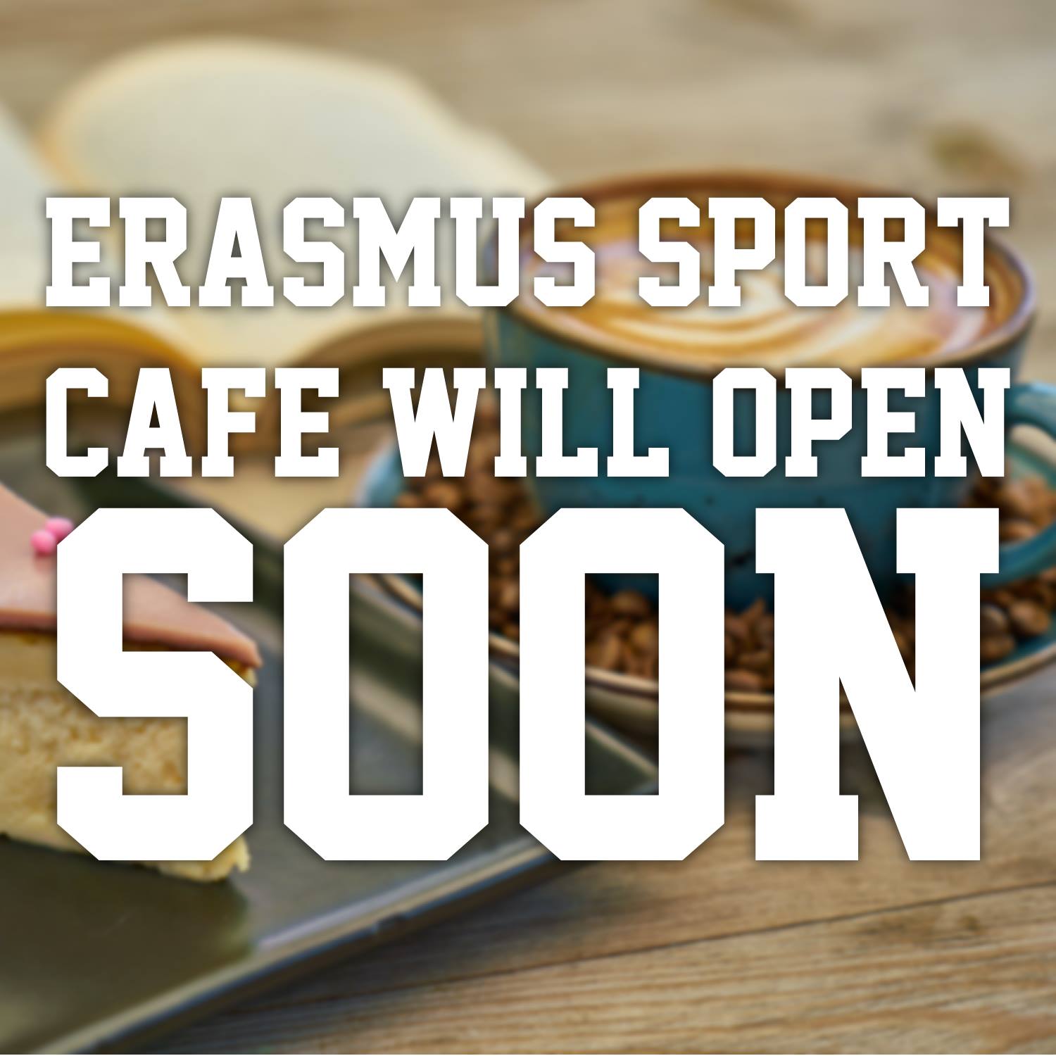 Home Erasmus Sport